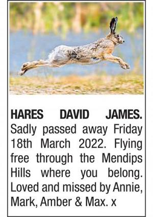 DAVID JAMES HARES