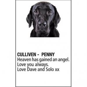 PENNY CULLIVEN