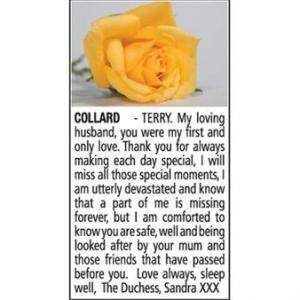 TERRY COLLARD