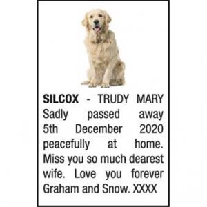 TRUDY MARY SILCOX