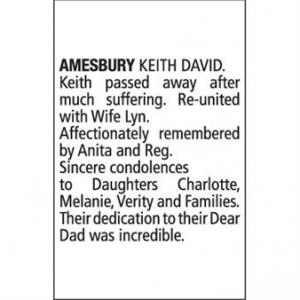 KEITH DAVID AMESBURY