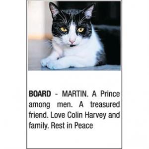 MARTIN BOARD