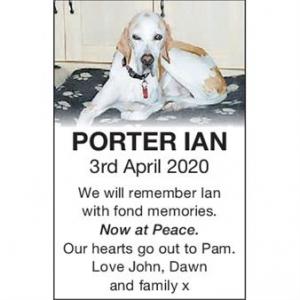 IAN PORTER